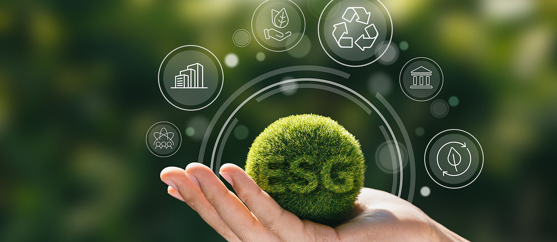 Handfläche mit einer Pflanze, symbolisch für ESG und Nachhaltigkeit