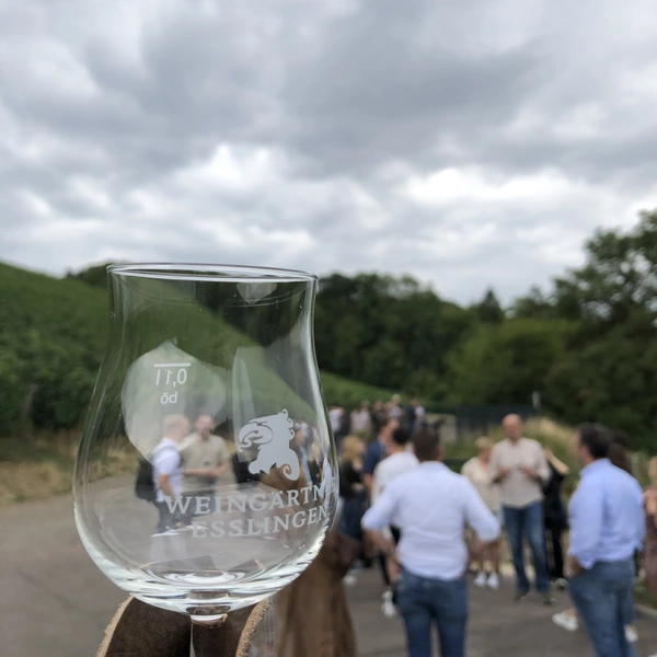 Bild von einer Weinverkostung unter Kollegen